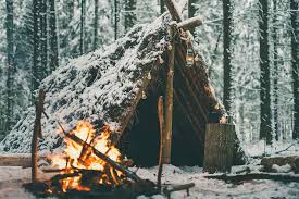 Bushcraft Basics: 7 Core Skills Every Beginner Should Master