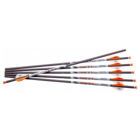 Ravin .001 Premium Arrows — 6-Pack Precision Crossbow Arrows